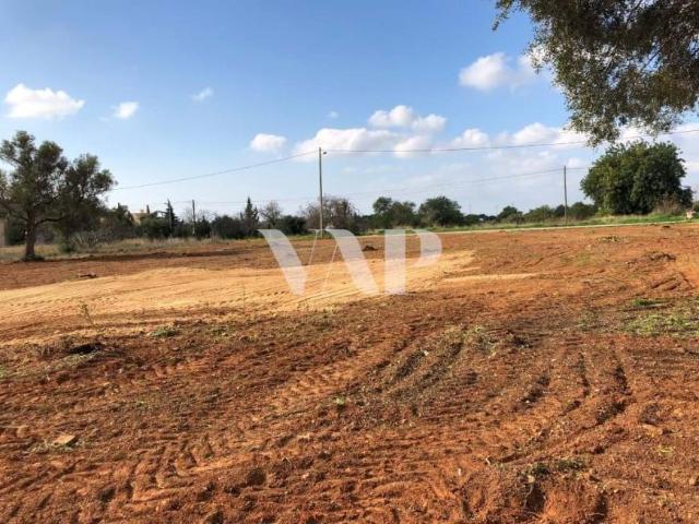 Terrenos Almancil Algarve DS54778147