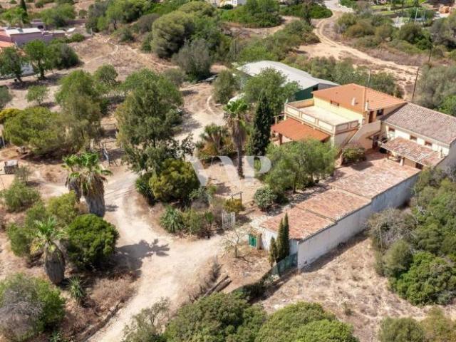 Terrenos Almancil Algarve DS80363088