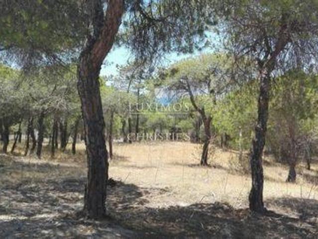 Terrenos Almancil FARO DS96316464