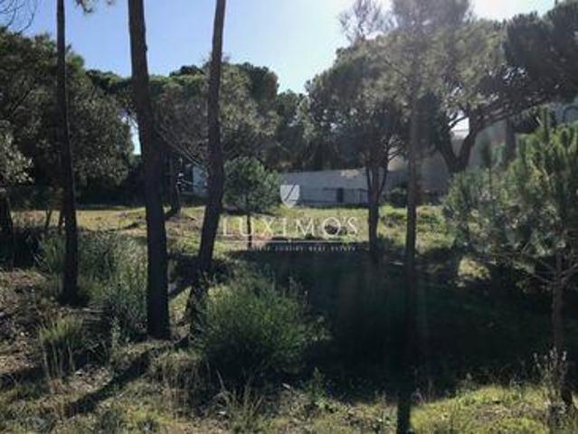 Terrenos Almancil FARO DS96316466