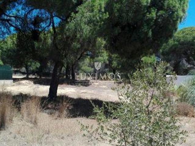 Terrenos Almancil FARO DS96332622