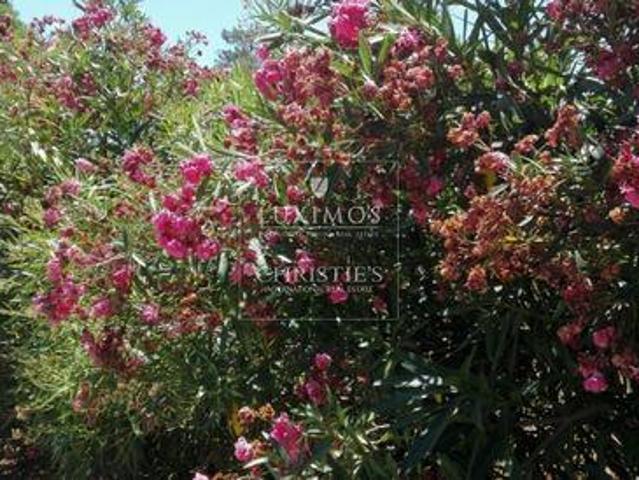 Terrenos Almancil FARO DS96333419