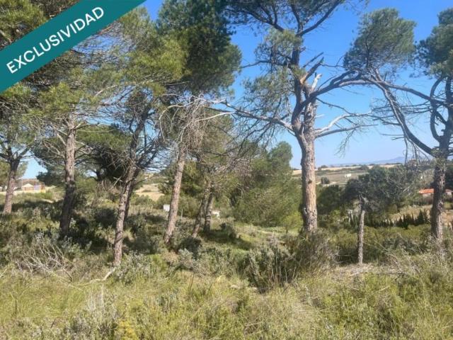 Terrenos Almansa Albacete 100977349