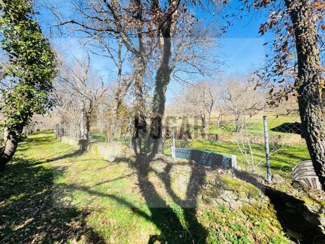 Terrenos Almarza Almarza 88444425