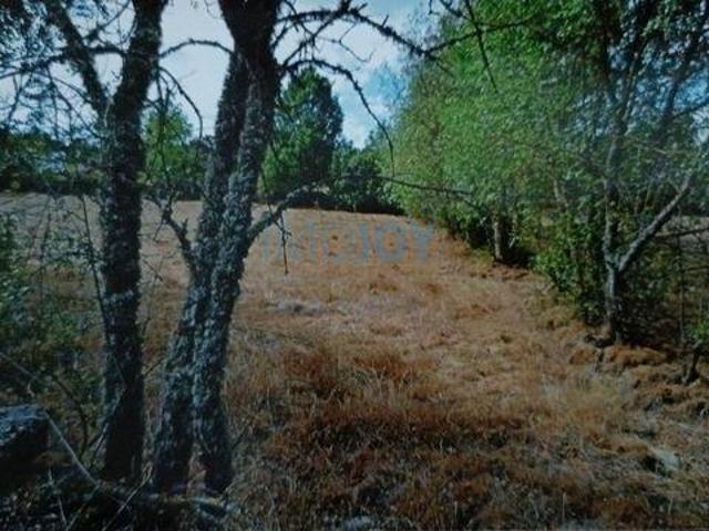 Terrenos Almeida Guarda 6355 010 DS96326519