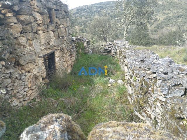 Terrenos Almeida Guarda DS82107987