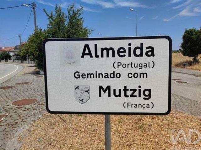 Terrenos Almeida Guarda DS95381741