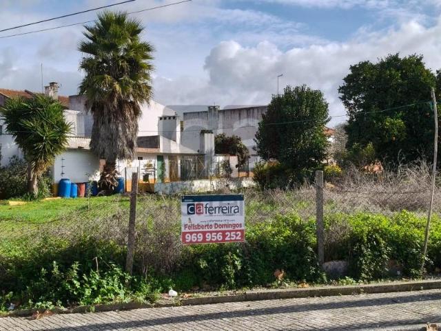 Terrenos Almeirim Almeirim DLS87044677