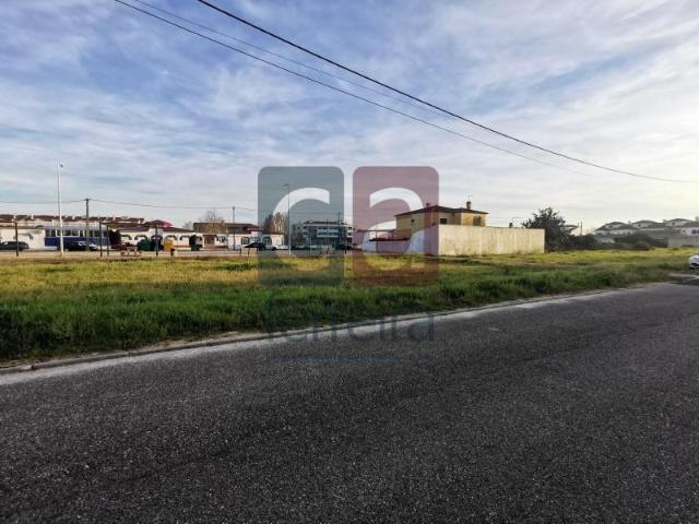 Terrenos Almeirim Almeirim DLS97120799