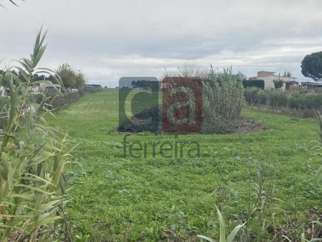 Terrenos Almeirim Almeirim DLS97121482