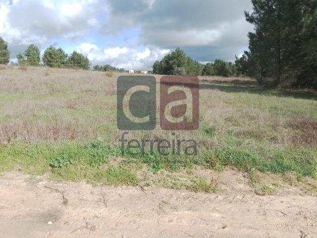 Terrenos Almeirim Almeirim DLS97121589