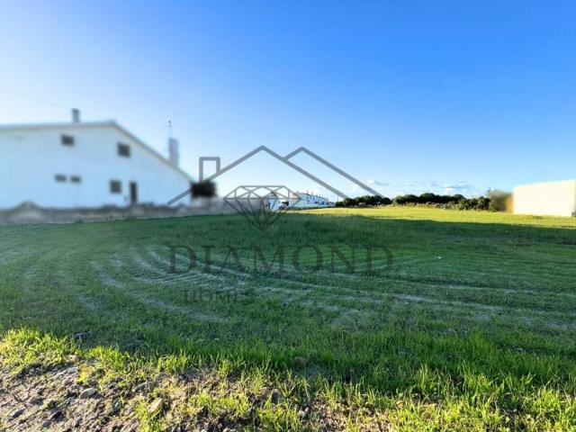 Terrenos Almeirim Almeirim DLS98567948