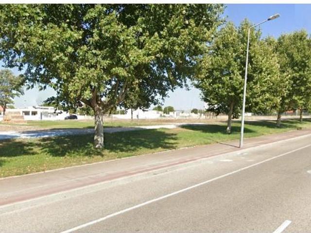 Terrenos Almeirim Almeirim DLS99522603
