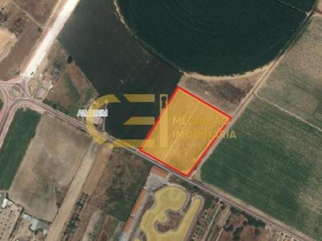 Terrenos Almeirim Almeirim DS101741289