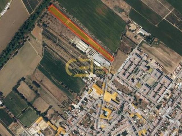 Terrenos Almeirim Almeirim DS101741291