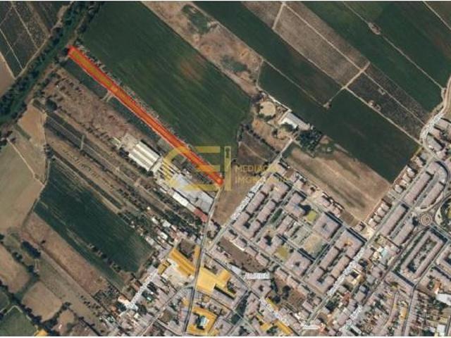 Terrenos Almeirim Almeirim DS101741294