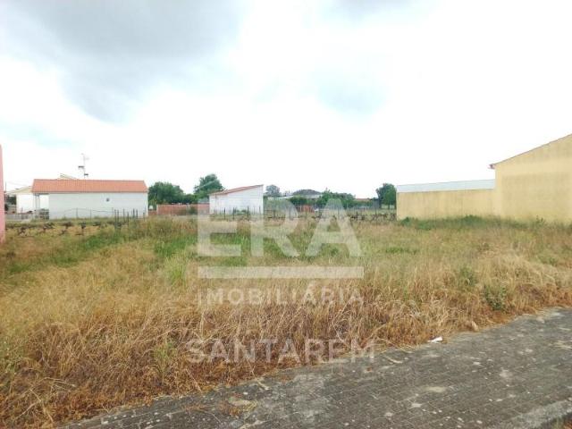 Terrenos Almeirim Almeirim DS102066789