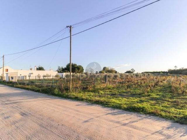 Terrenos Almeirim Santarém DLS83810303