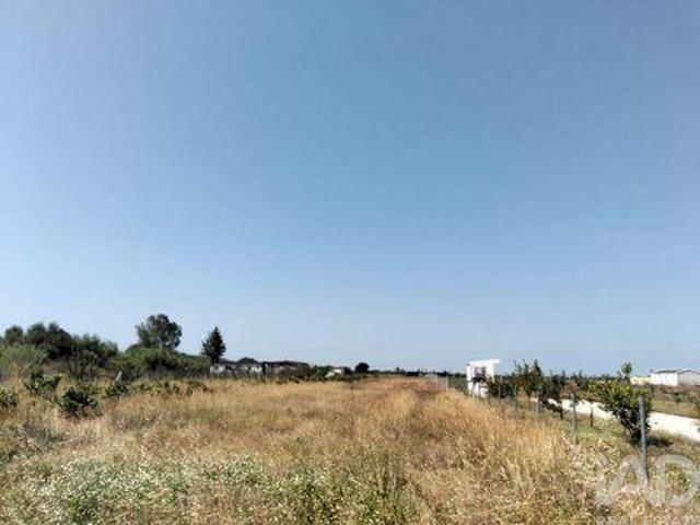 Terrenos Almeirim Santarem DLS92639347