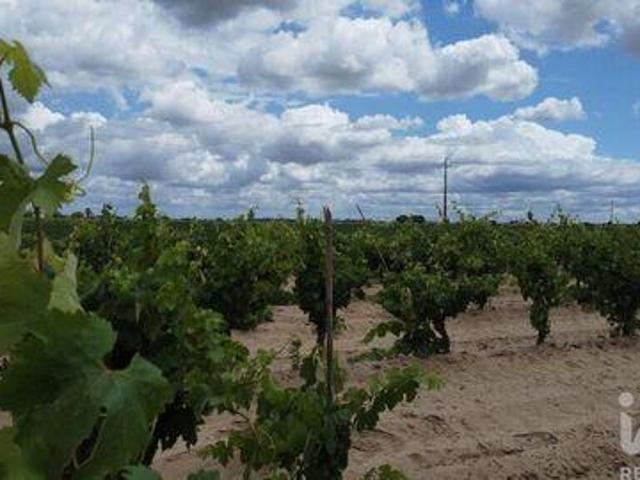 Terrenos Almeirim Santarem DLS98338023