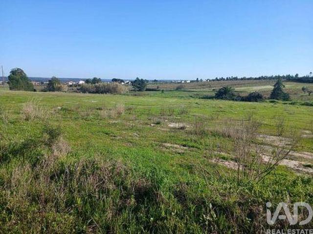 Terrenos Almeirim Santarem DLS99380524