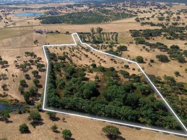Terrenos Almodôvar Beja DLS92257655