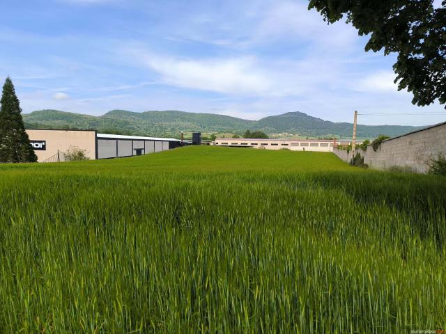 Terrenos Álava Basque Country 81223246