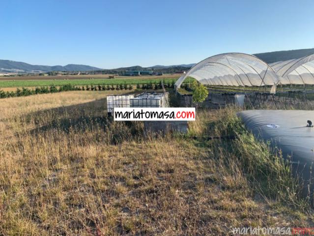 Terrenos Álava Basque Country 81223287