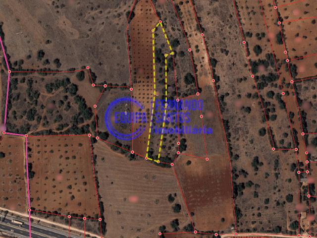 Terrenos Albufeira Algarve DLS73339931
