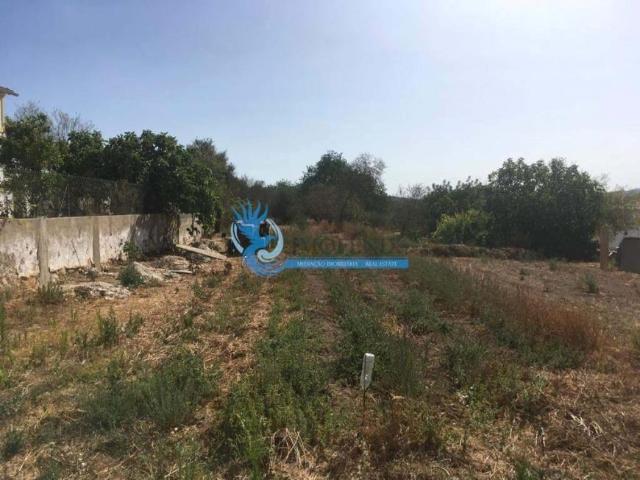 Terrenos Albufeira Algarve DLS85982284