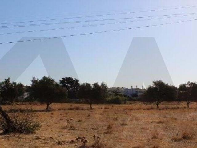 Terrenos Albufeira Algarve DLS88283065