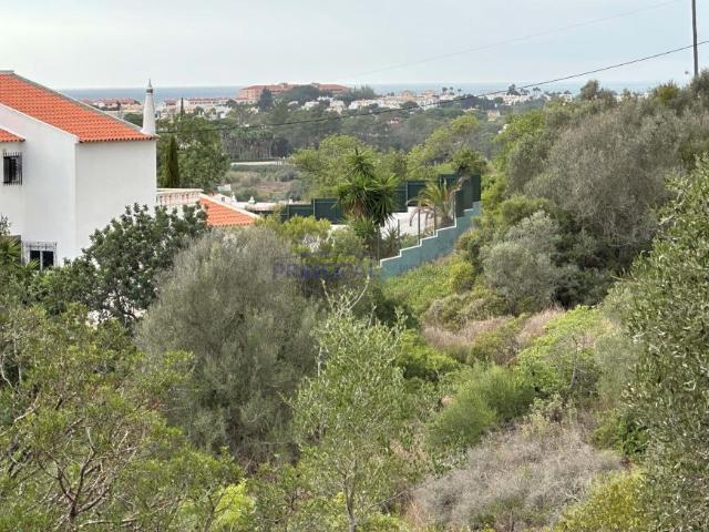 Terrenos Albufeira Algarve DLS96164072