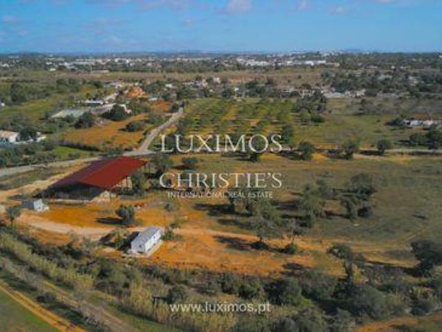 Terrenos Albufeira e Olhos de água FARO DS96917553