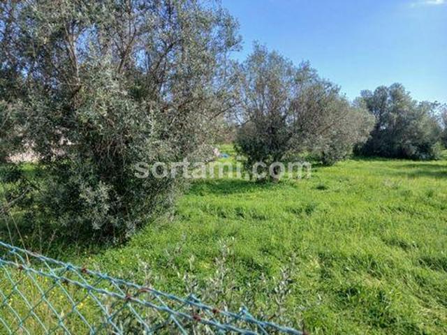 Terrenos Albufeira Faro DLS101315289
