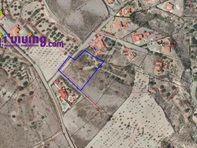 Terrenos Albox Almería 103321989