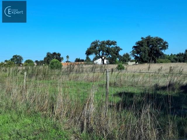 Terrenos Alcácer do Sal Alcácer do Sal DLS98678461