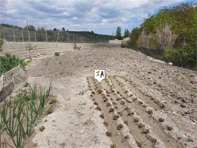 Terrenos Alcala La Real Jaen 49502942
