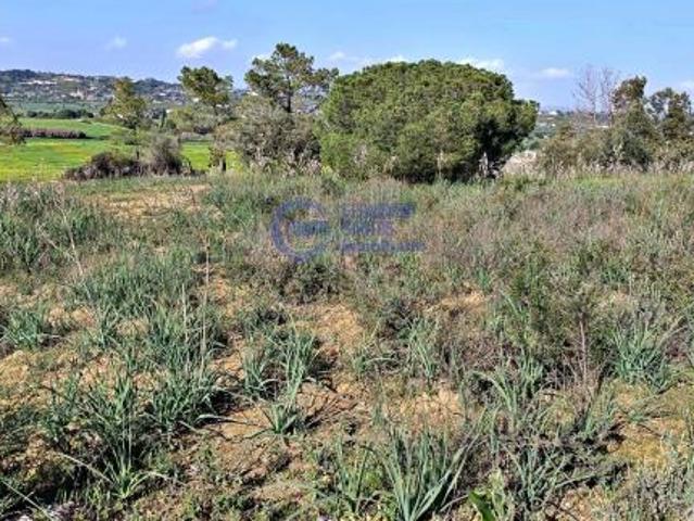 Terrenos Alcantarilha Algarve DS72093326