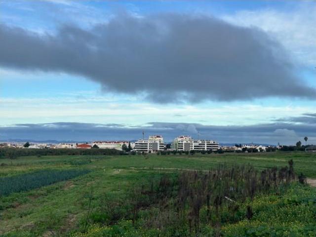 Terrenos Alcochete Alcochete DS87036569