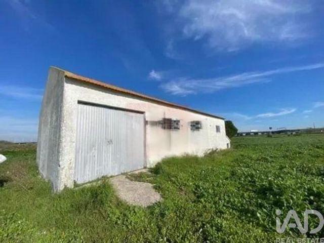 Terrenos Alcochete Setubal DLS98151011