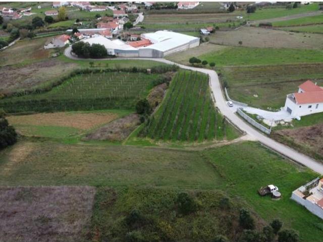 Terrenos Alcobaça Alcobaça DLS96234655