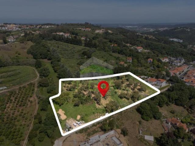 Terrenos Alcobaça Alcobaça DLS101411239