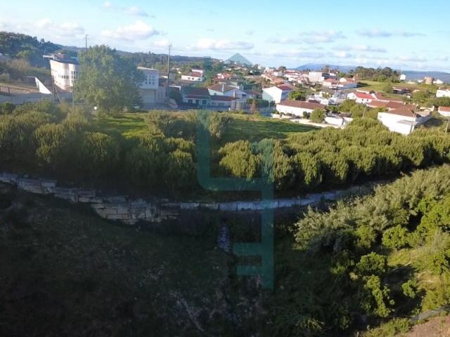 Terrenos Alcobaça Alcobaça DS102066434