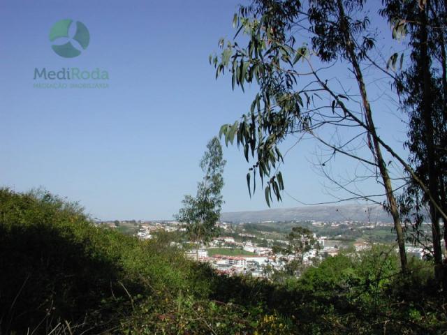 Terrenos Alcobaça Alcobaça DS87512930