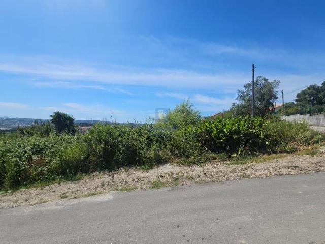 Terrenos Alcobaça Alcobaça DS99886291