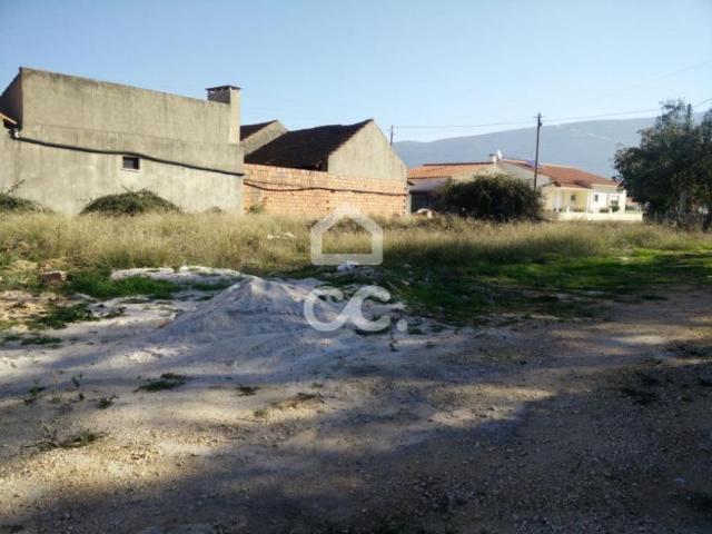 Terrenos Alcobaça Leiria DLS70842536