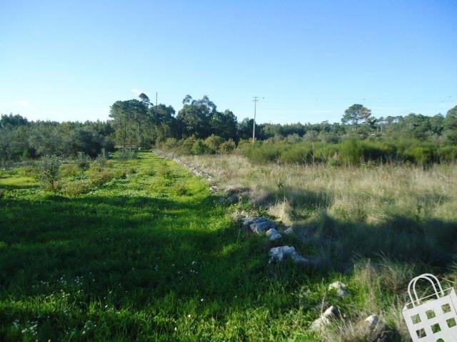 Terrenos Alcobaça Leiria DLS70842564