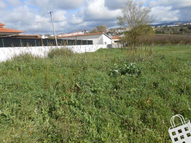 Terrenos Alcobaça Leiria DLS70842568