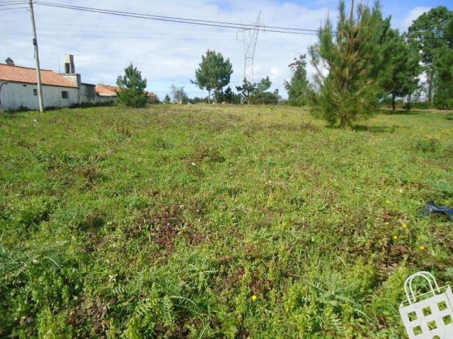 Terrenos Alcobaça Leiria DLS70842570