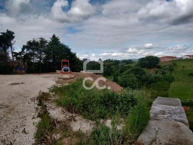 Terrenos Alcobaça Leiria DLS91881148